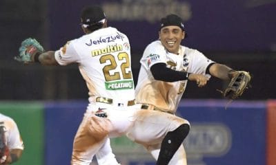 Leones vs Tigres en vivo hoy.