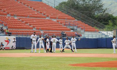 Magallanes vs Tigres en vivo
