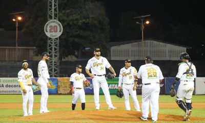 Leones vs Tigres en vivo hoy