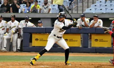 Tigres vs Leones en vivo hoy - Ronda Regular LVBP 2024-25 13 Tigres vs Leones en vivo hoy.