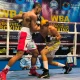 Brian Rodríguez y José Aray se hicieron sentir en el WBA Future of Venezuelan Boxing
