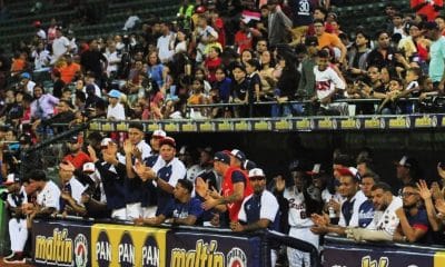 Leones vs Caribes en vivo hoy.