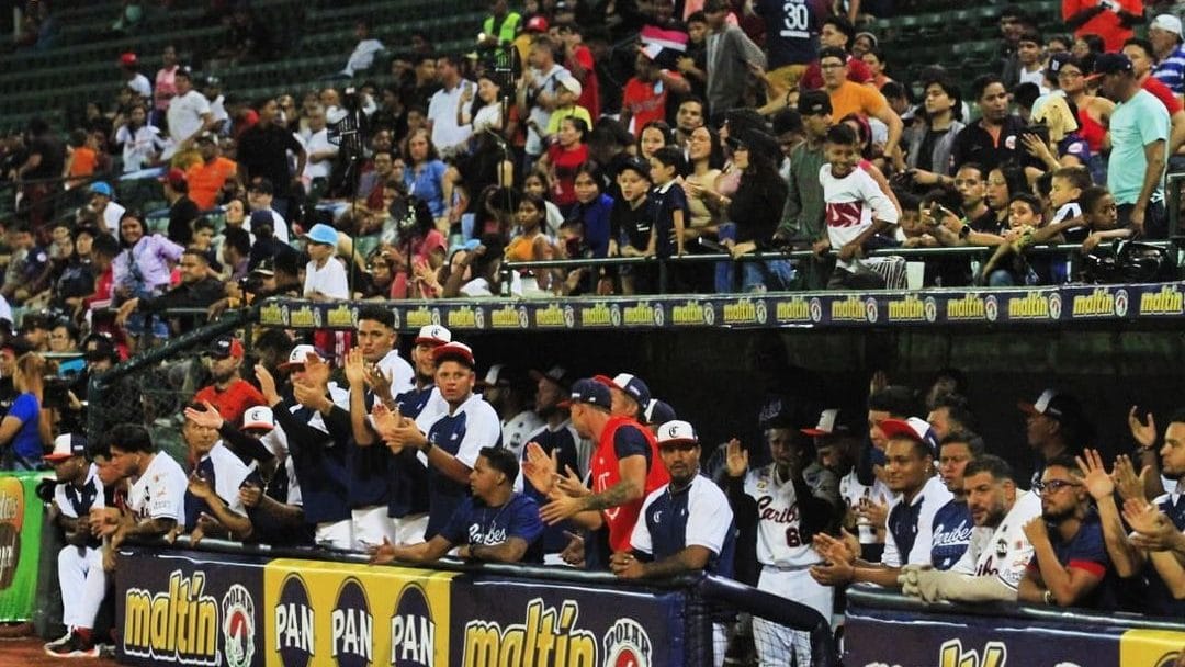 Leones vs Caribes en vivo hoy.