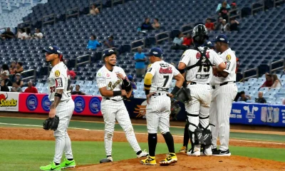 Bravos vs Leones en vivo hoy - Ronda Regular LVBP 2024-2025 9 Bravos vs Leones en vivo hoy.