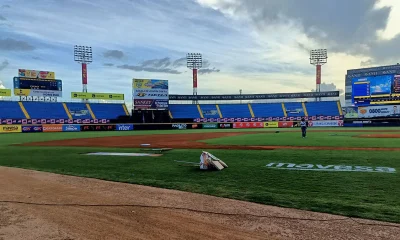 Tigres vs Magallanes en vivo.