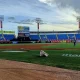 Tigres vs Magallanes en vivo.