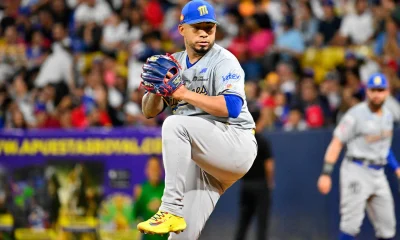 Tiburones vs Magallanes en vivo.