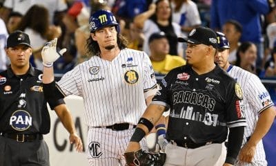 Bravos vs Magallanes en vivo.