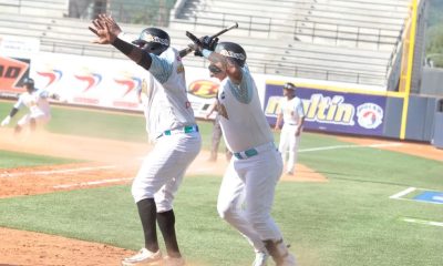 Tiburones vs Bravos en vivo hoy.